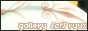 Tsubasa Chronicle button